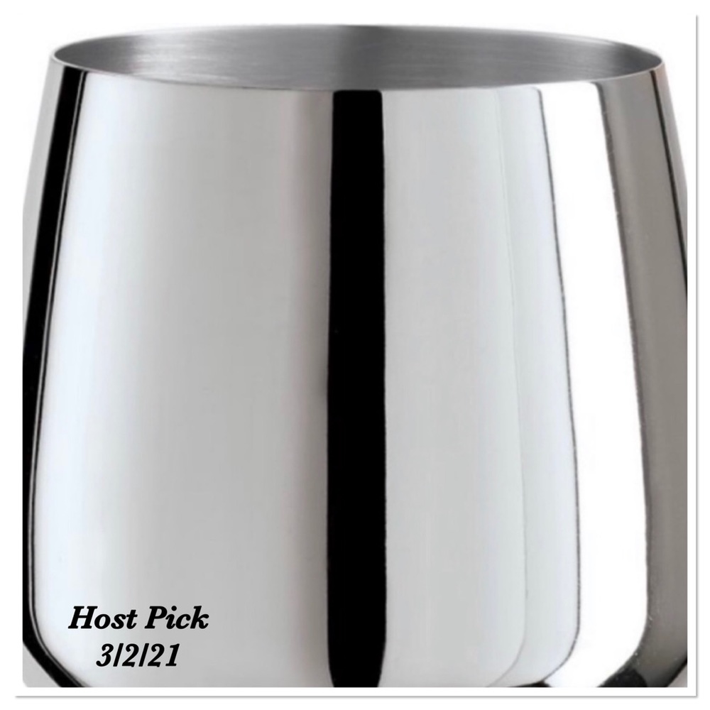 Stainless Steel Wine Glass - Set of Two